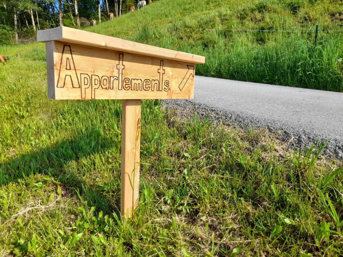 Appartement Sonnseitn Altenmarkt im Pongau Exterior foto
